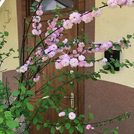 Lviv-Centre Apartments Gorodotska 44 Zewnętrze zdjęcie