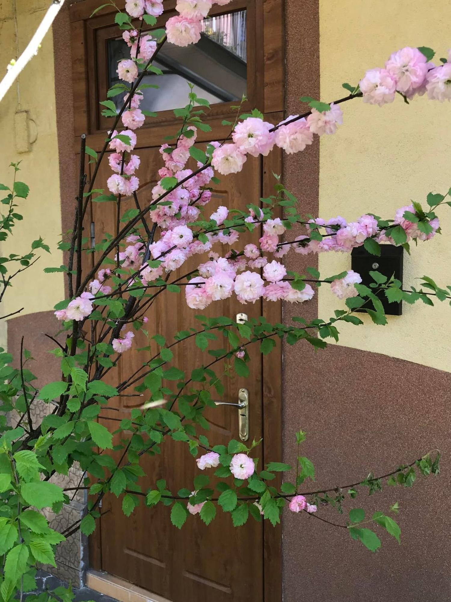 Lviv-Centre Apartments Gorodotska 44 Zewnętrze zdjęcie